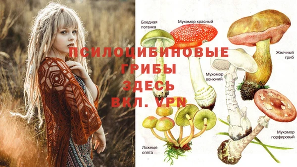 круглые Медвежьегорск